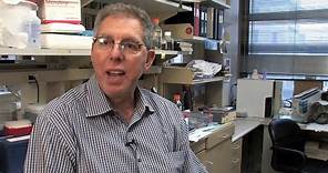 Jeffrey Friedman discusses research on leptin and obesity