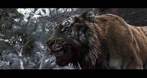 Tiger- The old hunter's tale   HD