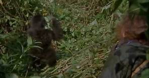 Gorillas In The Mist Trailer HD