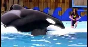 ❤In Memory of Keiko The Killer Whale / Free Willy❤