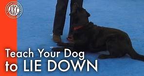 Teach Your Dog to Lie Down