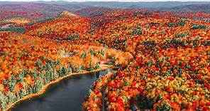 15 Most Beautiful Fall Leaves