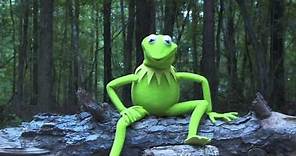 Kermit the Frog Takes the ALS Ice Bucket Challenge | The Muppets