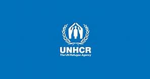 UK Asylum and Policy and the Illegal Migration Act | UNHCR UK