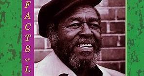 Brownie McGhee - Facts Of Life