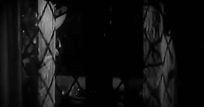 Manhandled (1949) Sterling Hayden, Dan Duryea, Dorothy Lamour