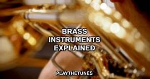 Brass Instruments List (Updated 2024 Guide)