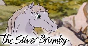 The Silver Brumby | Golden Goes Home 🐎| HD FULL EPISODES