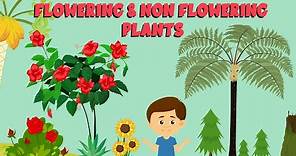 Flowering and non flowering plants | Plant life cycle | Video for Kids