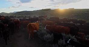 60 Minutes:Riding along on the Green River Drift, the longest-running cattle drive left in America