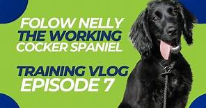 Nelly The Working Cocker Vlog Episode 7 | The Dog Therapist