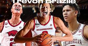 Trevon Brazile Arkansas Basketball Season Highlights