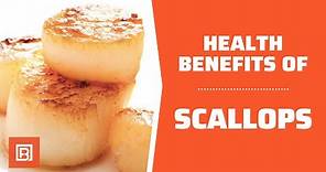 Health benefits of Scallops: The tastiest and healthiest seafood you can eat!
