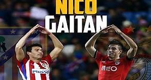Nicolás Gaitán | SL Benfica & Atlético Madrid (2010 - 2017)