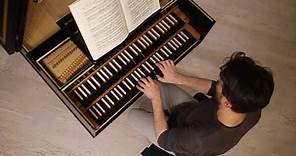 Johann Mattheson: Harpsichord Suite #10 in e - Alessandro Simonetto