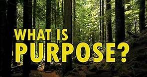 WHAT IS PURPOSE? | Understanding Purpose
