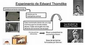 Introducción a la psicología - Edward Lee Thorndike - Ley del efecto - B. Condicionamiento operante