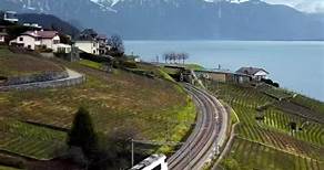 Viaje en tren Lavaux desde #Lausana a #Vevey en la parte francesa suiza 🇨🇭-🇨🇵 - Por @aventouro - #lavaux #romandie #suiza #switzerland.is.amazing #Ferrocarrileros | Ferrocarrileros