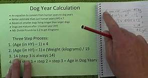 Dog Year Calculation - Updated Way to Convert a Dog's Age into Dog Years - Step by Step Instructions