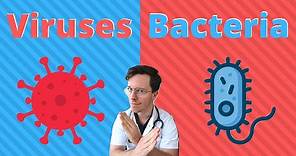 Bacteria vs viruses | What are the differences? - Doctor Explains
