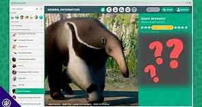 The Giant Anteater | Planet Zoo Zoopedia (Ep. 5)