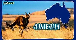 AUSTRALIA SALVAJE: Sorpréndete con sus animales únicos.