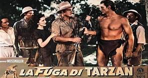 03 La Fuga de Tarzán (1936) Película completa en español
