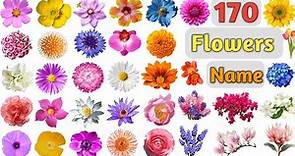 Flowers Vocabulary ll 170 Flowers Name In English With Pictures ll Names of Different Flowers