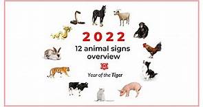 12 animal signs and their yearly stars in 2022, year of the Tiger — an overview