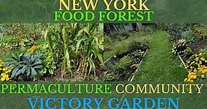 AMAZING New York Permaculture Community Garden Starting a Food Forest!