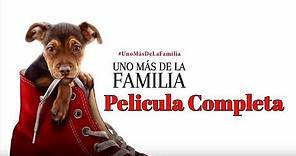 A dogs way home / Uno más de la Familia pelicula completa en Español