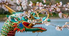 Japanese Dragon Symbols, Myths and Meanings | LoveToKnow