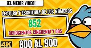 🚩🔶️Escritura De Los Números del 800 al 900 I Spanish Numbers from 800-900
