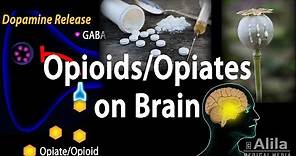 Opioids Mechanism of Action, Addiction, Dependence and Tolerance, Animation
