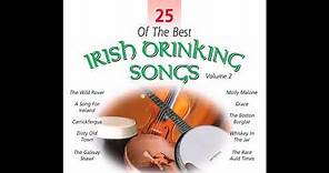 25 Of The Best Irish Pub/Drinking Songs Vol.2 | #irishpub