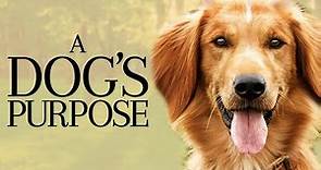 A Dog's Purpose 2017 Movie | Dennis Quaid, Josh Gad, KJ Apa | A Dog's Purpose Movie Full Review