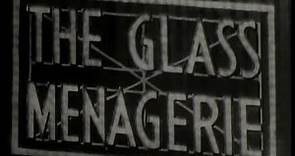 THE GLASS MENAGERIE 1950 Original Theatrical Trailer