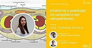 Anatomía y patología no neoplásica del retroperitoneo por la Dra. Gabriela Salinas