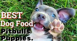 Best Dog Food For Pit bulls Puppies | How to feed Your PIT BULL Puppies.