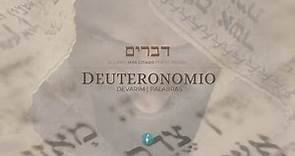 Deuteronomio 28:15-68 | Consecuencias de la desobediencia 🤦🏻‍♀️