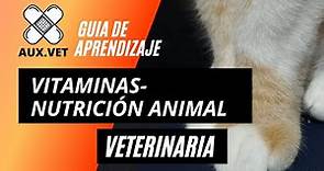 VITAMINAS-NUTRICIÓN ANIMAL