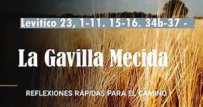 La Gavilla Mecida - LECTIO DIVINA - Lv 23, 1. 4-11. 15-16. 27. 34b-37
