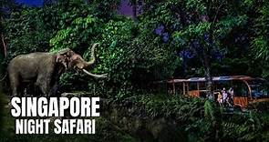 Night Safari Singapore Walking Tour (4K HDR)