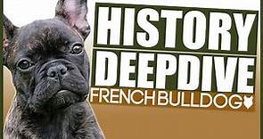 FRENCH BULLDOG HISTORY DEEPDIVE