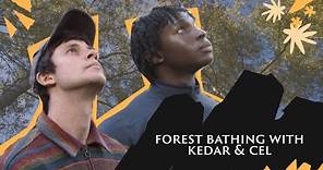 Join Cel and Kedar for a spot of forest bathing | Save Our Wild Isles