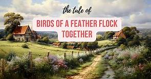 Birds of a Feather Flock Together - Story & Meaning