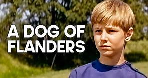 A Dog of Flanders | Emotional Family Film