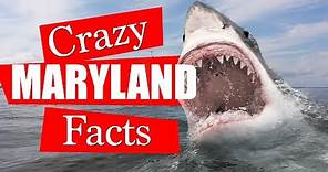 10 Maryland Facts You Did Not Know!