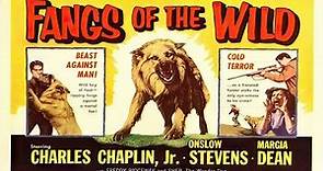 Fangs of the Wild (Fangs of the Wild) (1954) Western | Charles Chaplin Jr. | Onslow Stevens