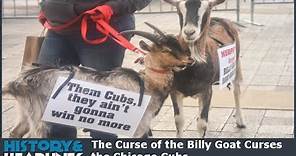 The Curse of the Billy Goat Curses the Chicago Cubs